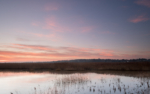 Blakeney Marshes, North Norfolk