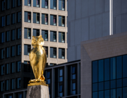 The Leeds Golden Owl