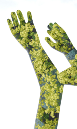 Arms of Peace - Millenium Square