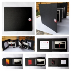 1461 The Battle of Towton Book