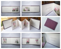 Pink Carnation Book