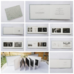 In Quiet Contemplation Book