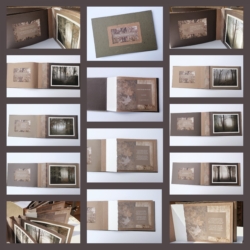 The Path Through The Woods