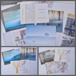 The Shape of Trees Components