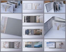 The Shape of Trees Book